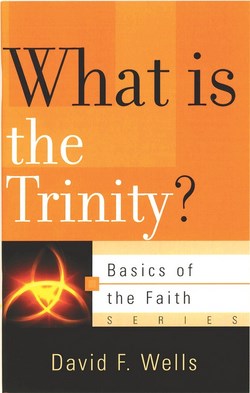 WHAT IS THE TRINITY? - BOTF