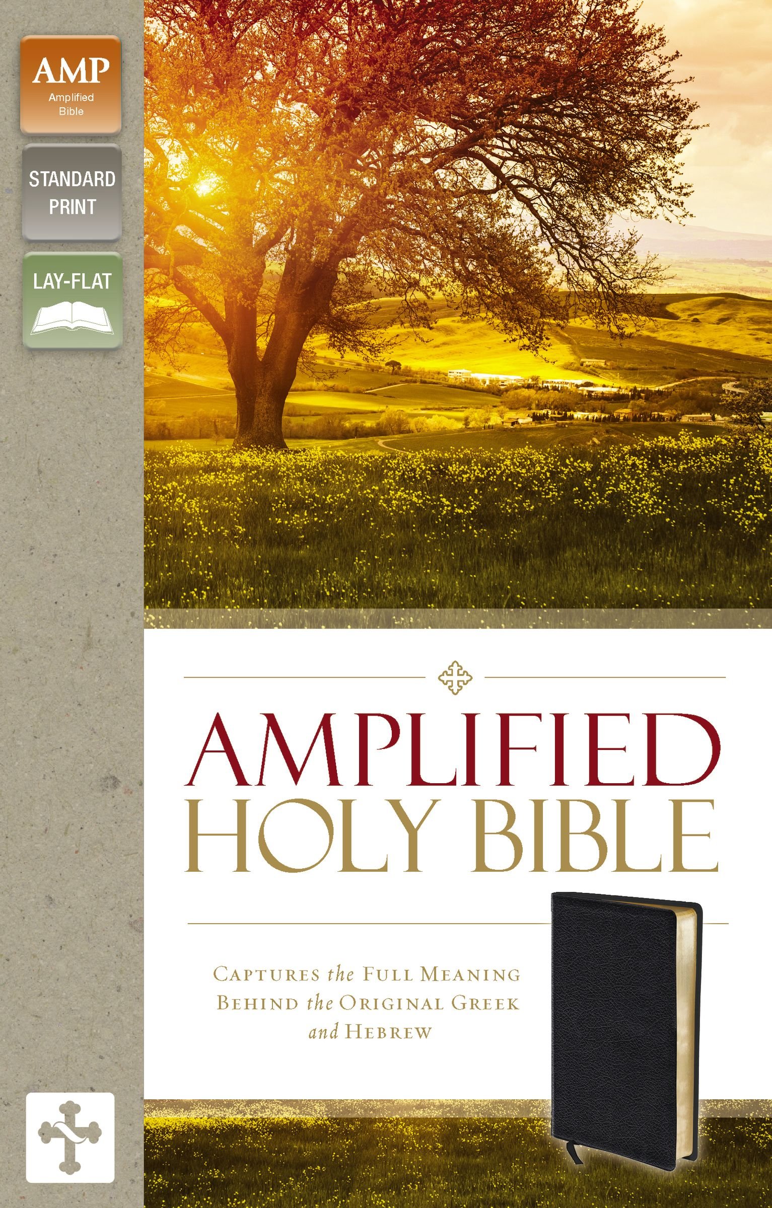 AMPLIFIED HOLY BIBLE TI BLACK BL