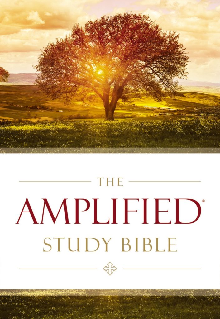AMPLIFIED LARGE PRINT STUDY BIBLE Good Neighbours