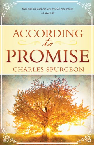 ACCORDING TO PROMISE