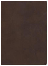 CSB STUDY BIBLE BROWN - GENUINE LEATHER