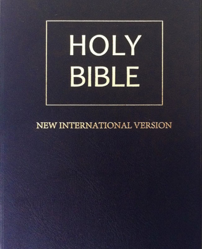 Обложка холли. Холи Байбл. NIV Holy Bible. Библия you Version. Holy Bible голубая.