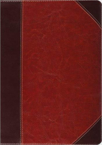 ESV STUDY BIBLE TT BROWN/CORD