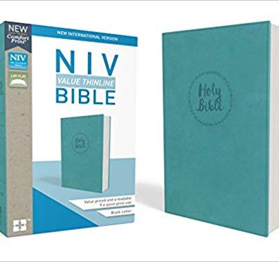 NIV VALUE THINLINE BLUE IM
