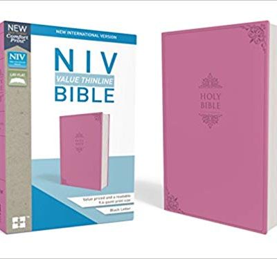 NIV VALUE THINLINE PINK IM