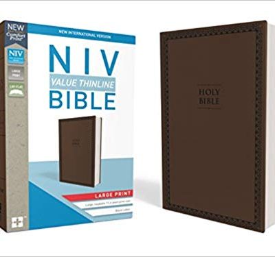 NIV LP VALUE THINLINE BROWN IM