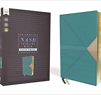 NASB GIANT PRINT THINLINE TEAL IM