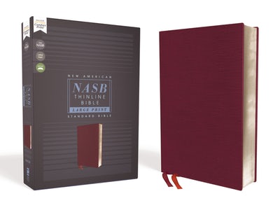 NASB LP THINLINE BURGUNDY BL