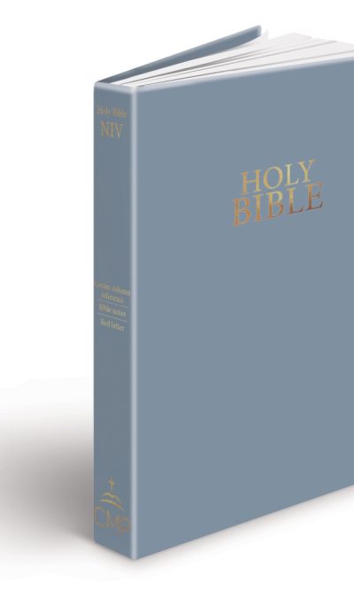 NIV CENTRE COLUMN REF STEEL BLUE VINYL