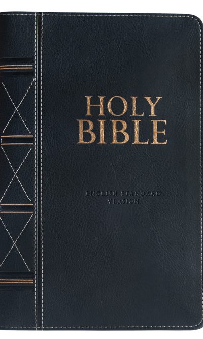 ESV STANDARD SIZE BIBLE TI ZIP BLACK IM