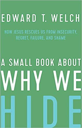SMALL BOOK ABOUT WHY WE HIDE