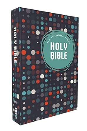 41N0NudioLL._SY445_SX342_