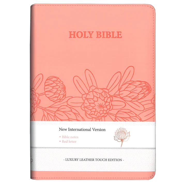 Bibles – Page 2 – Good Neighbours Bookshop | Augustine Bookroom