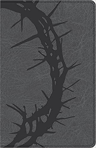 CSB LP PERSONAL SIZE CHARCOAL IM
