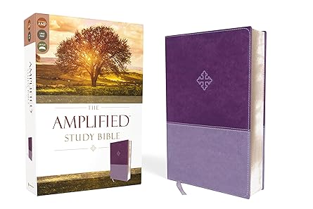 AMPLIFIED STUDY BIBLE PURPLE IM