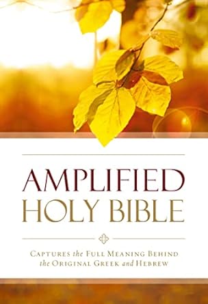 AMPLIFIED OUTREACH BIBLE