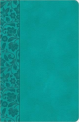 CSB LP REF PERSONAL SIZE TEAL IM