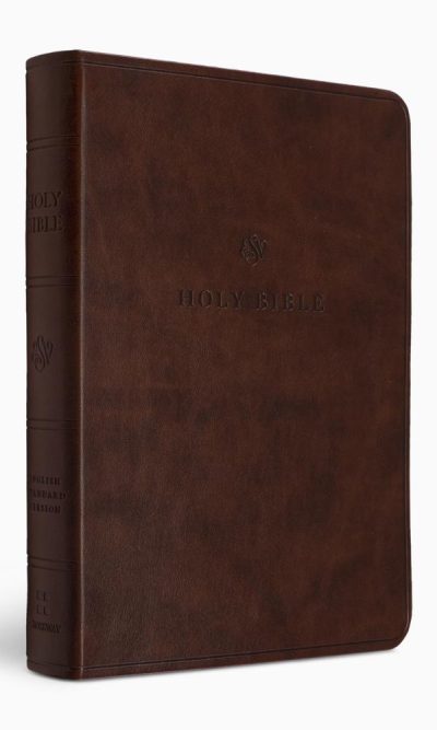 ESV VALUE COMPACT LARGE PRINT TT CHESTNU