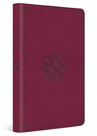 ESV PREMIUM GIFT TT RASPBERRY