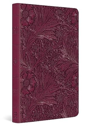 ESV VALUE THINLINE RASPEBERRY FLORAL TT