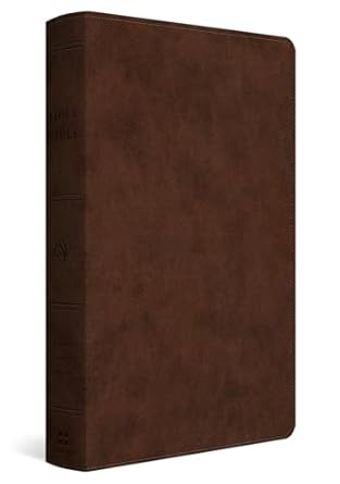 ESV DYSLEXIA-FRIENDLY EDITION TT