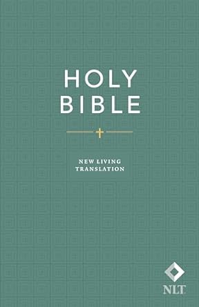 NLT ECONOMY BIBLE