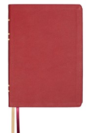 LSB GIANT PRINT REF PASTE-DOWN BURGUNDY