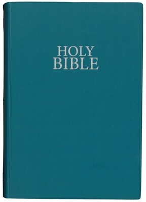 NIV VINYL TEAL