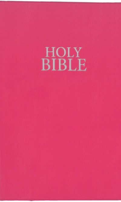 NIV VINYL CERISE PINK