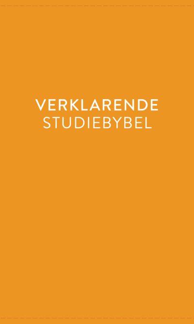 AFRIK 1933/53 VERKLARENDE BYBEL HEUNING