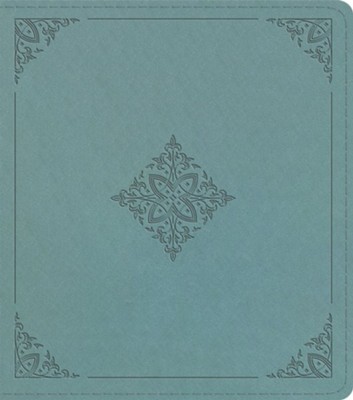 ESV JOURNALING STUDY BIBLE TT PARIS SKY