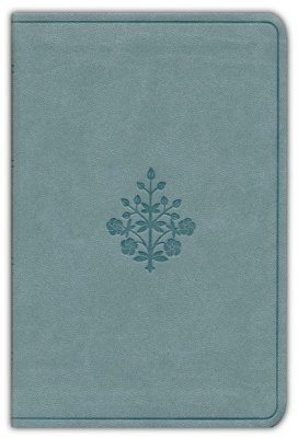 ESV VALUE COMPACT TT PARIS SKY