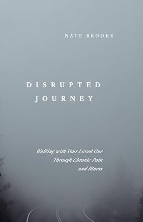 DISRUPTED JOURNEY