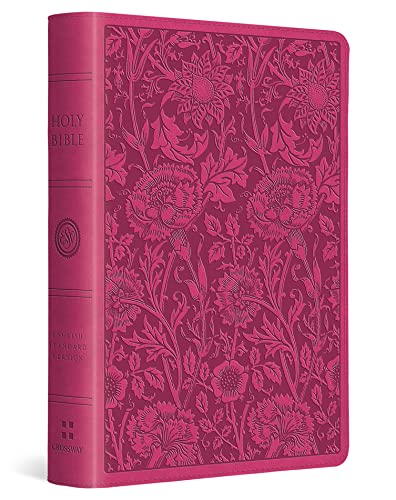 ESV COMPACT LARGE PRINT TT BERRY